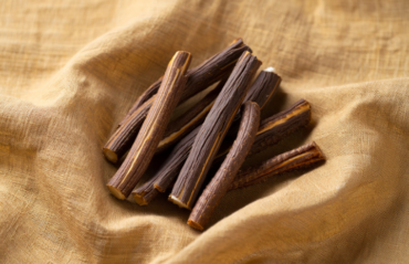 obraz_2026-02-23_071347321