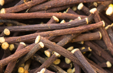 obraz_2026-02-23_073753740