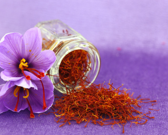 obraz_2024-02-14_132904886