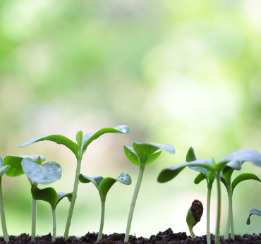 obraz_2024-02-21_123301124