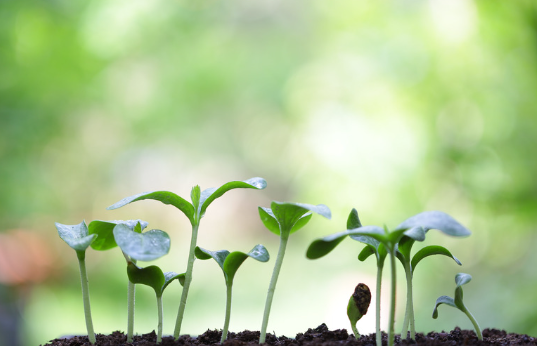 obraz_2024-02-21_123301124