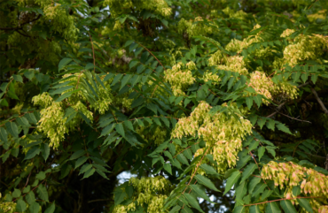 obraz_2026-02-20_104001941