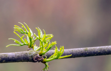 obraz_2026-02-20_104902019