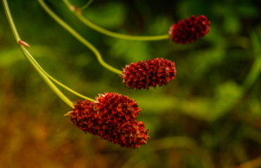 obraz_2026-02-20_113545100