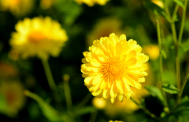 obraz_2026-02-20_115502701