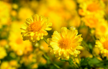 obraz_2026-02-20_120031579