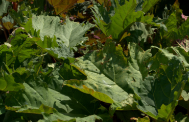 obraz_2026-02-20_121115812