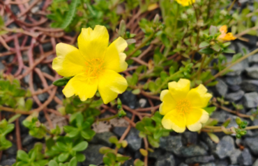 obraz_2026-02-20_123645748