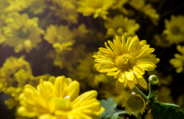 obraz_2026-02-20_124430899