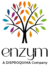 LOGO_ENZYM_color